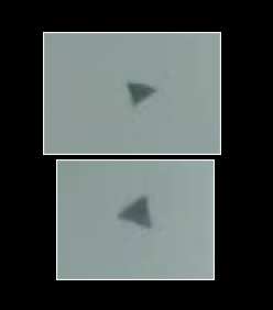 closeupkite.png