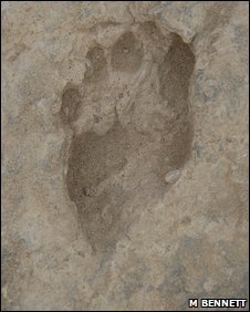 footprint.jpg