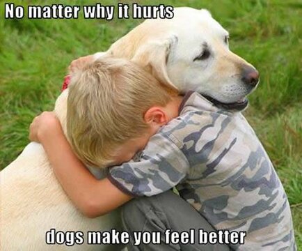 dogsmakeyoufeelbetter.jpg