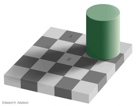 checkershadow_illusion4full small.jpg