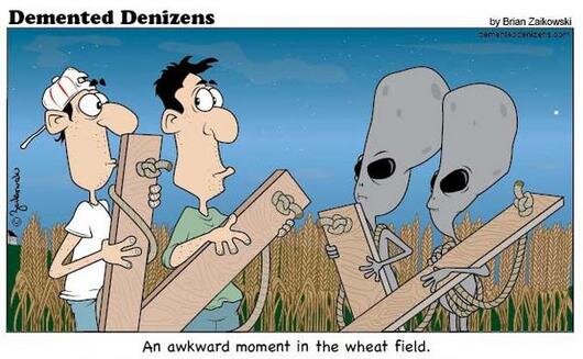 An-Awkward-Moment-in-the-Wheat-Field_photo_medium.jpg