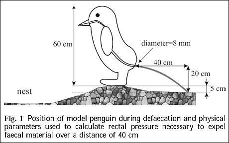 penguin_1487813c.jpg