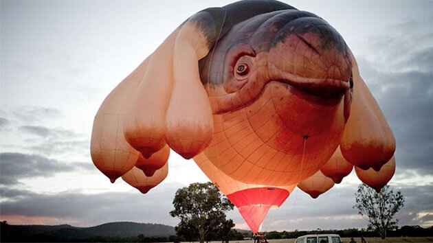 skywhale130510_630.jpg