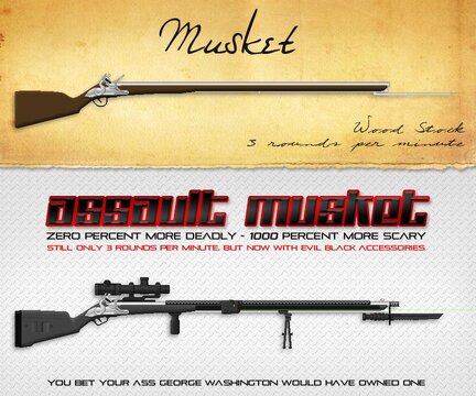 assaultmusket.jpg