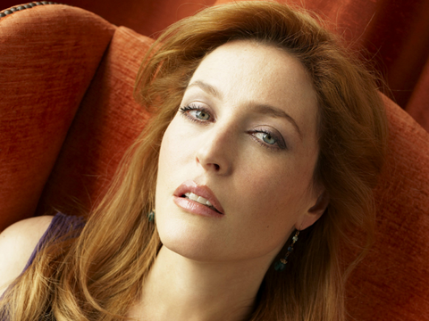 Gillian-Anderson-gillian-anderson-32830559-1024-768[1].png