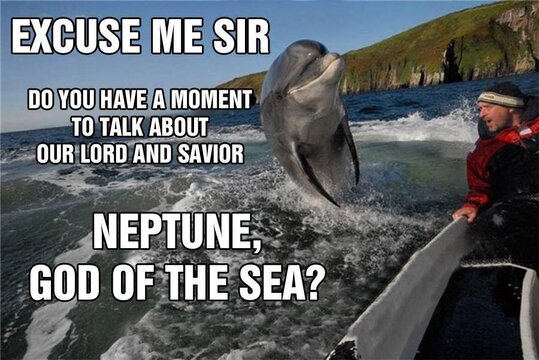 dolphin missionary.jpg