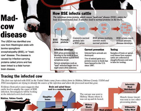 05 how bse works attach.jpg