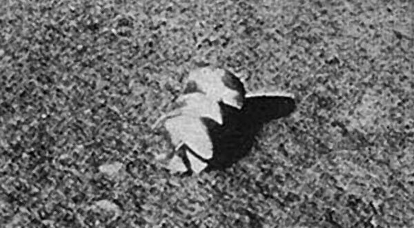 Lunar-Anomaly-Lunik-13-artifact.jpg