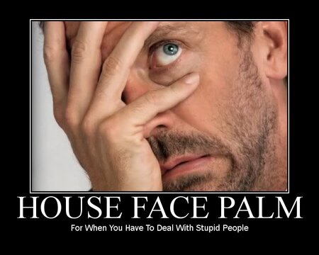 facepalm_house.jpg