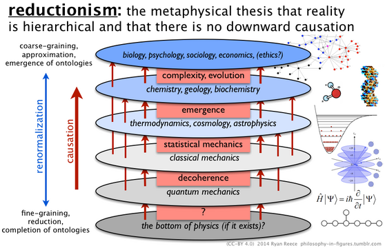 reductionism.png