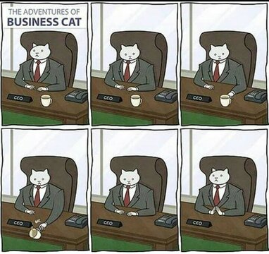 Business Cat.jpg