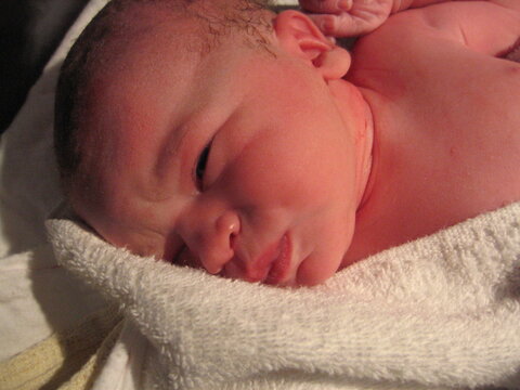 newborn-baby-girl-a-few-minutes-old-1-DHD1.jpg