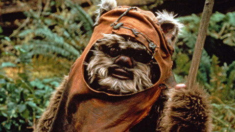 2289647-ewok_49229_screen.jpg