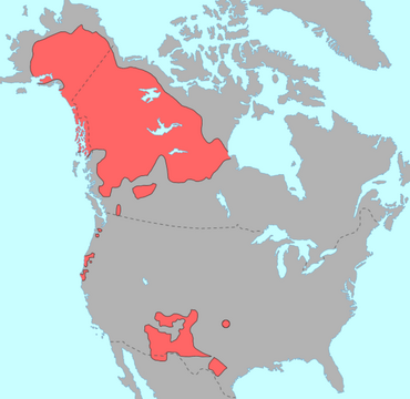 616px-Na-Dene_langs.png