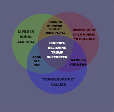 VINNDIAGRAM3.jpg