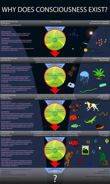 hct-hd-infographic-consciousness-hierarchical-construct.jpg