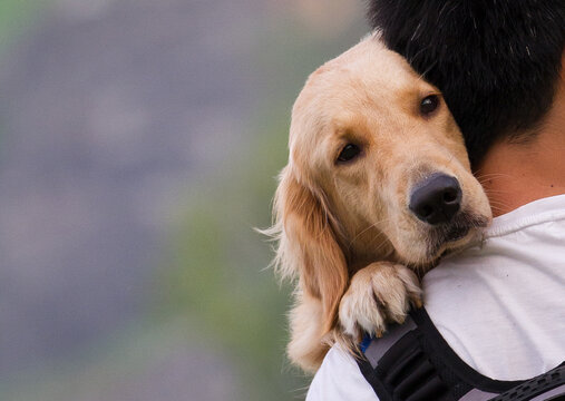 dog-love-2.jpg