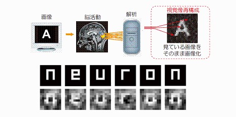 neuron.jpg