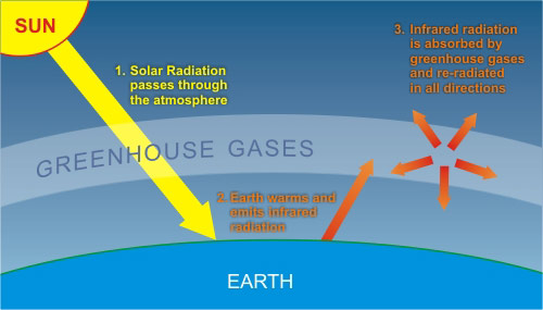 evidence_greenhouse.jpg