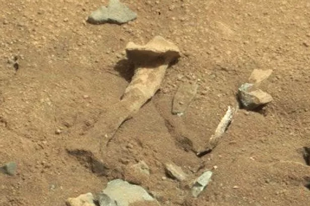 Alien-thigh-bone-on-Mars.png