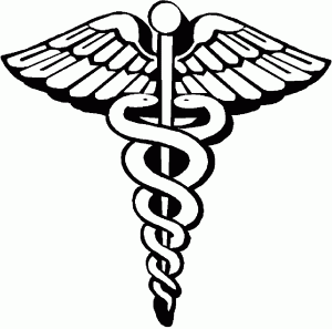 snake_caduceus-300x297.gif