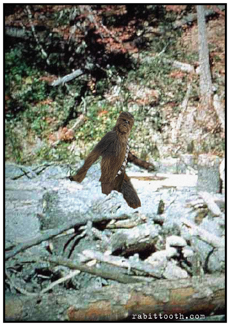 squatchbacca__chewbacca___bigfoot__by_rabittooth-d66f2em.jpg