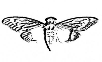 Cicada_3301_logo.jpg