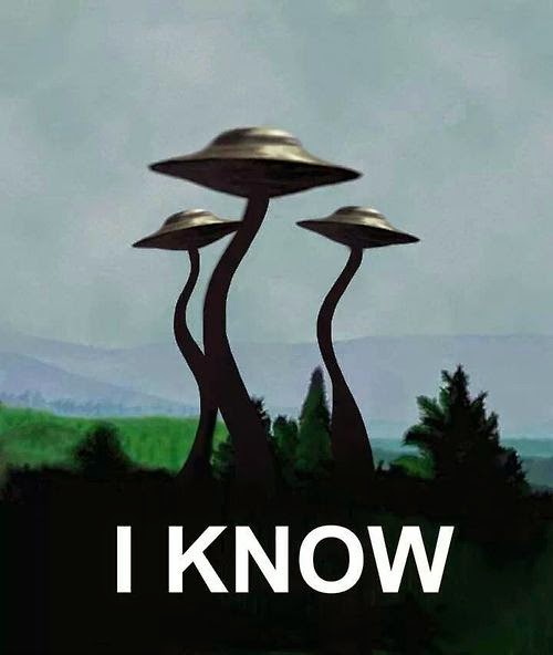 ufo+mushroom.jpg