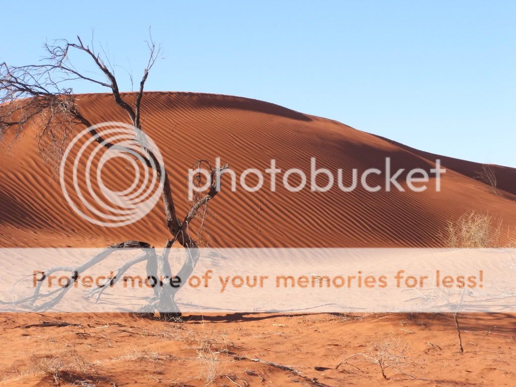 WorldtripandSimpsonDesert164.jpg