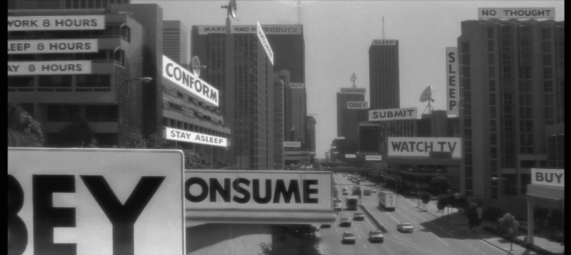 they-live-landscape.jpg