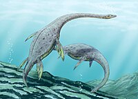 200px-Muraenosaurus_l2.jpg