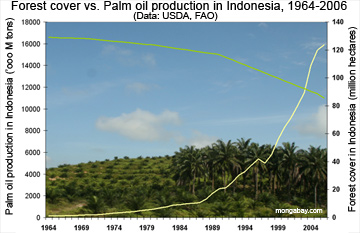 0822indonesia-360.jpg