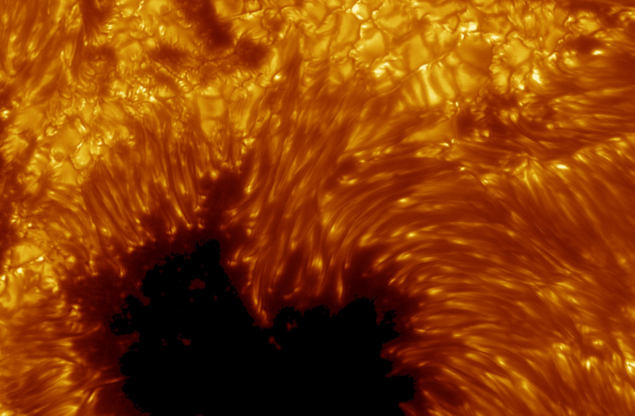 sunspot_swedish_c1.jpg